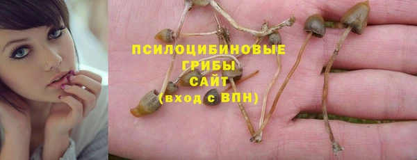 крисы Абаза