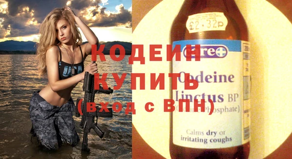 крисы Абаза