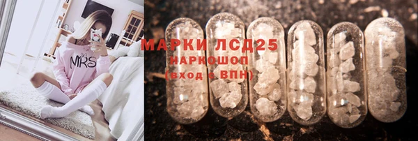 мет Алексин